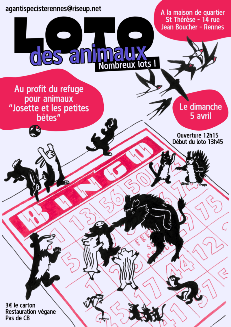 Visuel de l'événement Loto des animaux festif et caritatif - dimanche 5 avril 2026